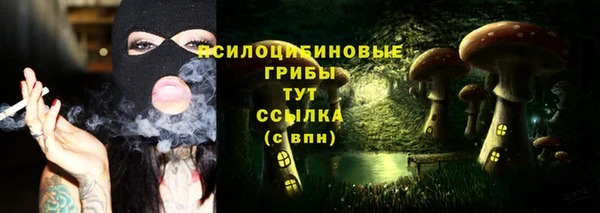 ешки Балахна
