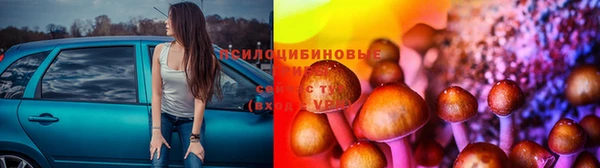 марихуана Баксан