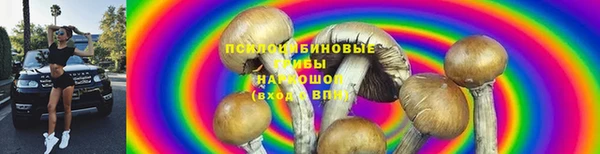 марихуана Баксан