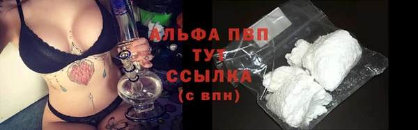 тгк Богородицк