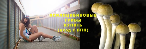 кокаин Богданович