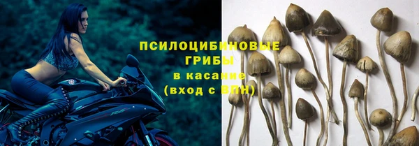 марихуана Баксан